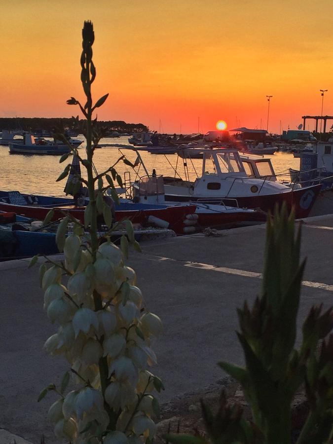 La Casa Di Ada E Gigi Vacanze Porto Cesareo Exterior foto